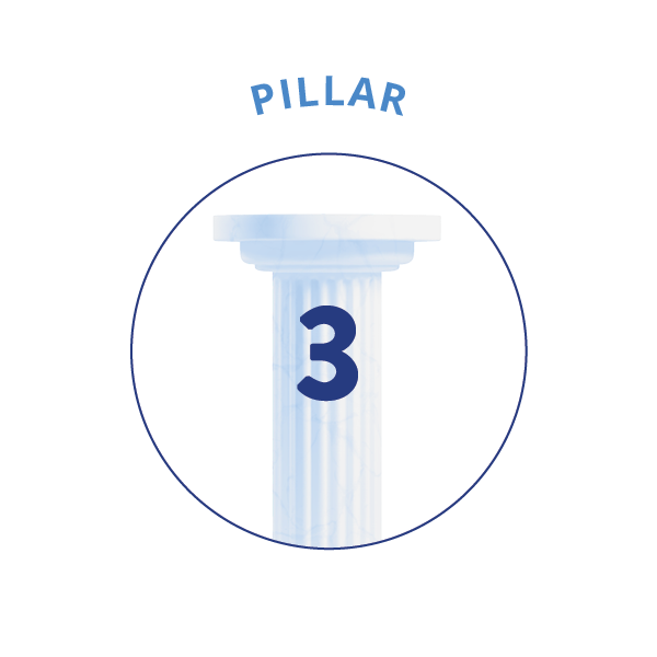 pillar 3 graphic