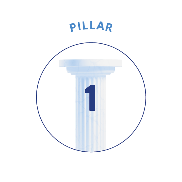 pillar 1 icon